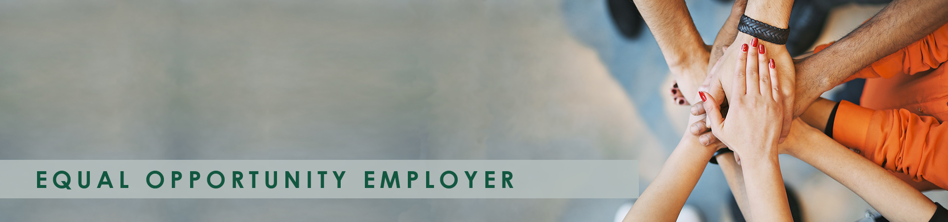 negwer-is-an-equal-opportunity-employer